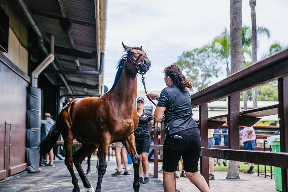 MagicMillions2023-day3-40